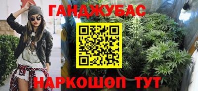 гидра Будённовск