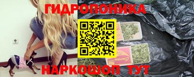 гидра Будённовск