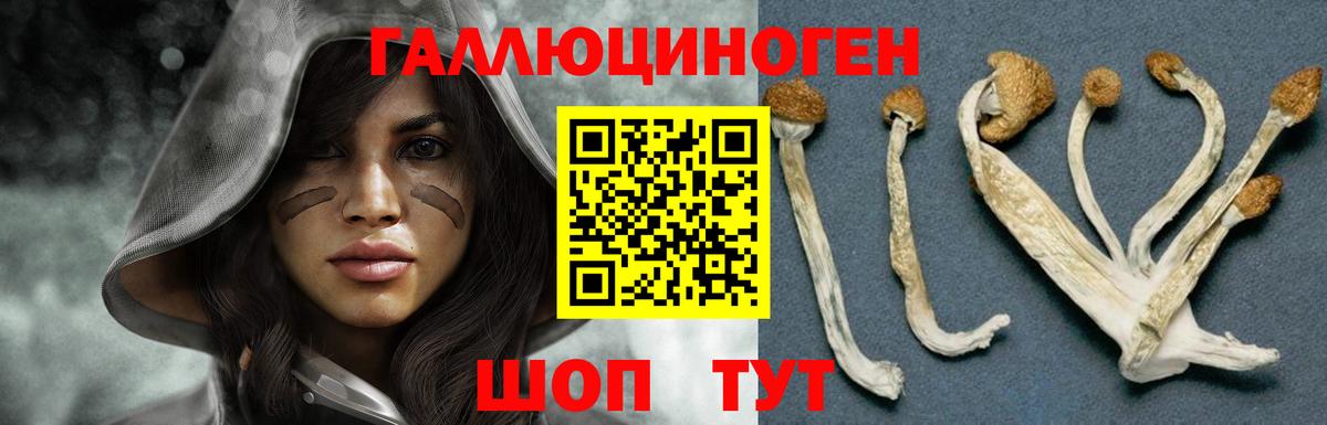 Псилоцибиновые грибы Magic Shrooms  Вход с VPN  Осинники 